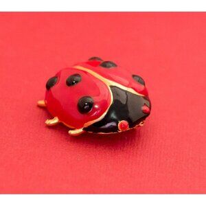 Red Lady Bug Insect Brooch F19